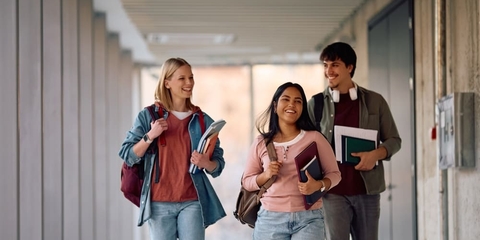 Por qué estudiar un bachelor
