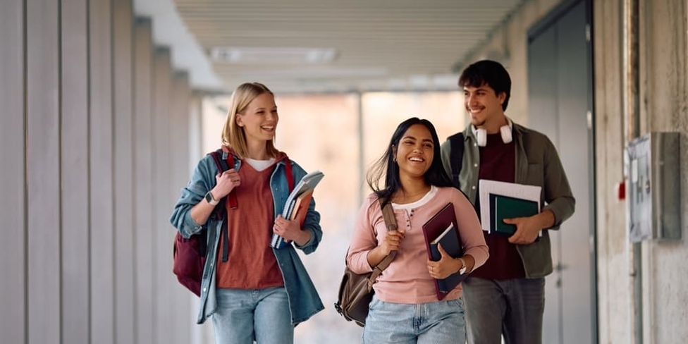 Por qué estudiar un bachelor